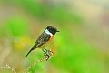 17 04 14_3144_edited-1